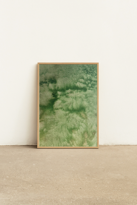 "we made a world (and forgot the instructions)"